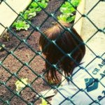 CR_Slides_2